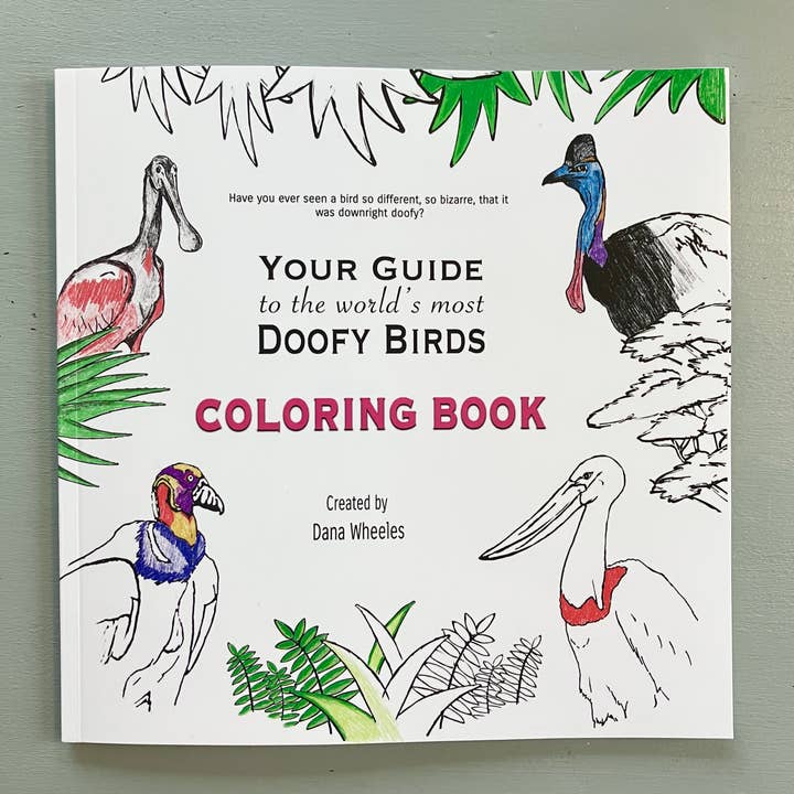 Deerhawk Art Studio - Wholesale Book - Adult - Your Guide to Doofy Birds Coloring Book