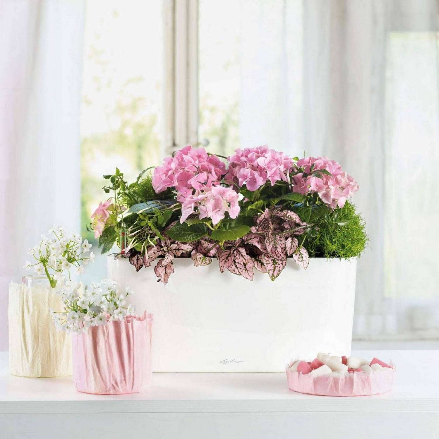 Lechuza Self Watering Planters - Vendita all'ingrosso Vasi per piante - LECHUZA DELTA Fioriera da tavolo/davanzale in poliresina10