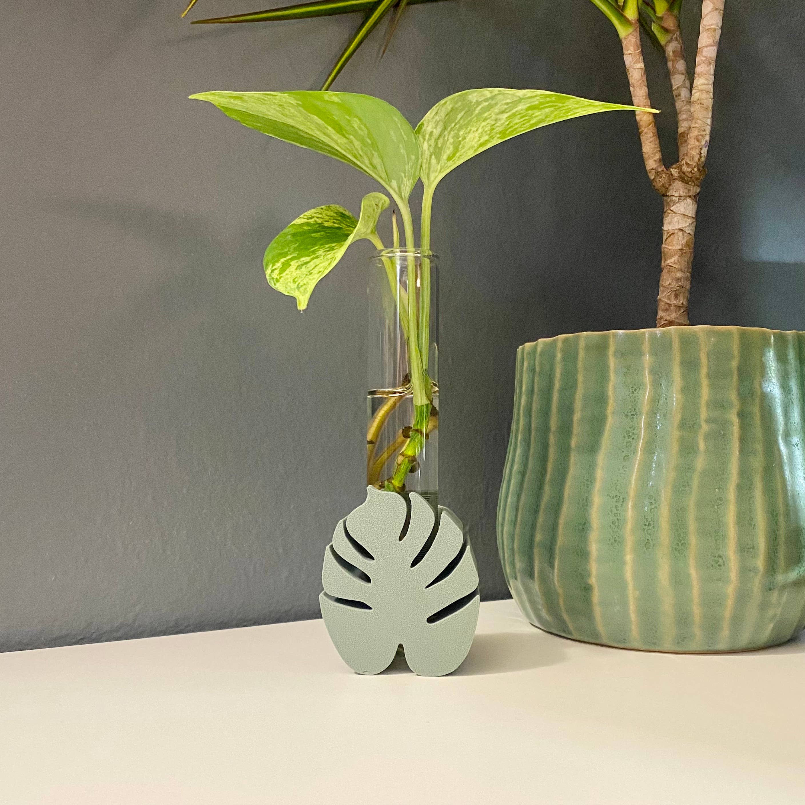 Plant Voyage – Vaso de plantas por atacado – Suporte para Propagação de Monstera Impresso em 3D pela Plant Voyage6
