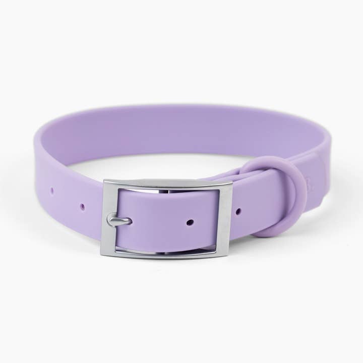 Collar impermeable para perro - Lila para venta al por mayor de Louis Barx