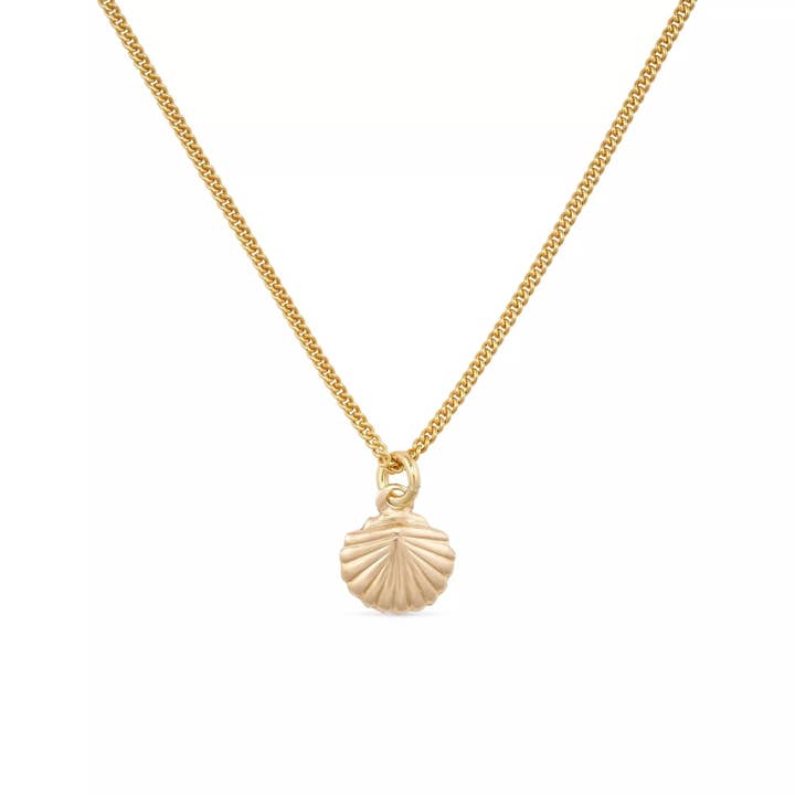 Dainty 18K Gold Shell Clam Necklace for wholesale by Elk & Bloom