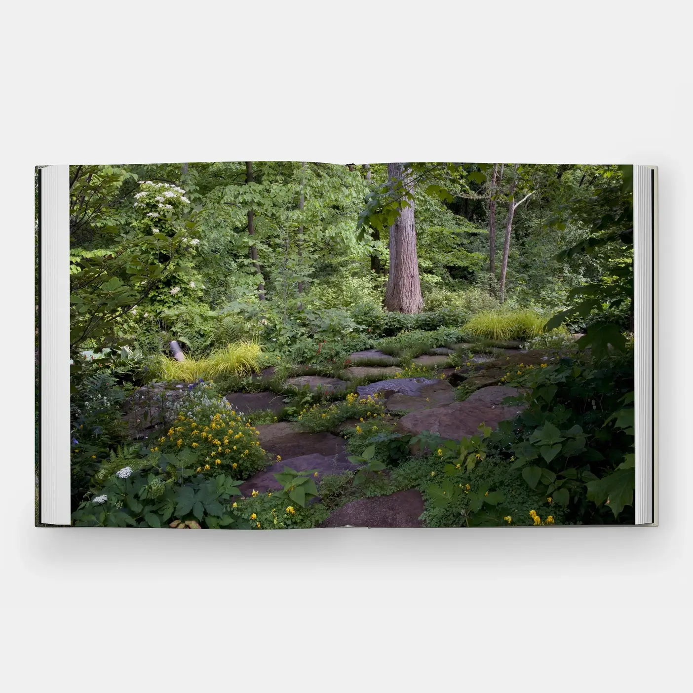 Phaidon - Wholesale Home & Garden - The Art Of Fine Gardening7