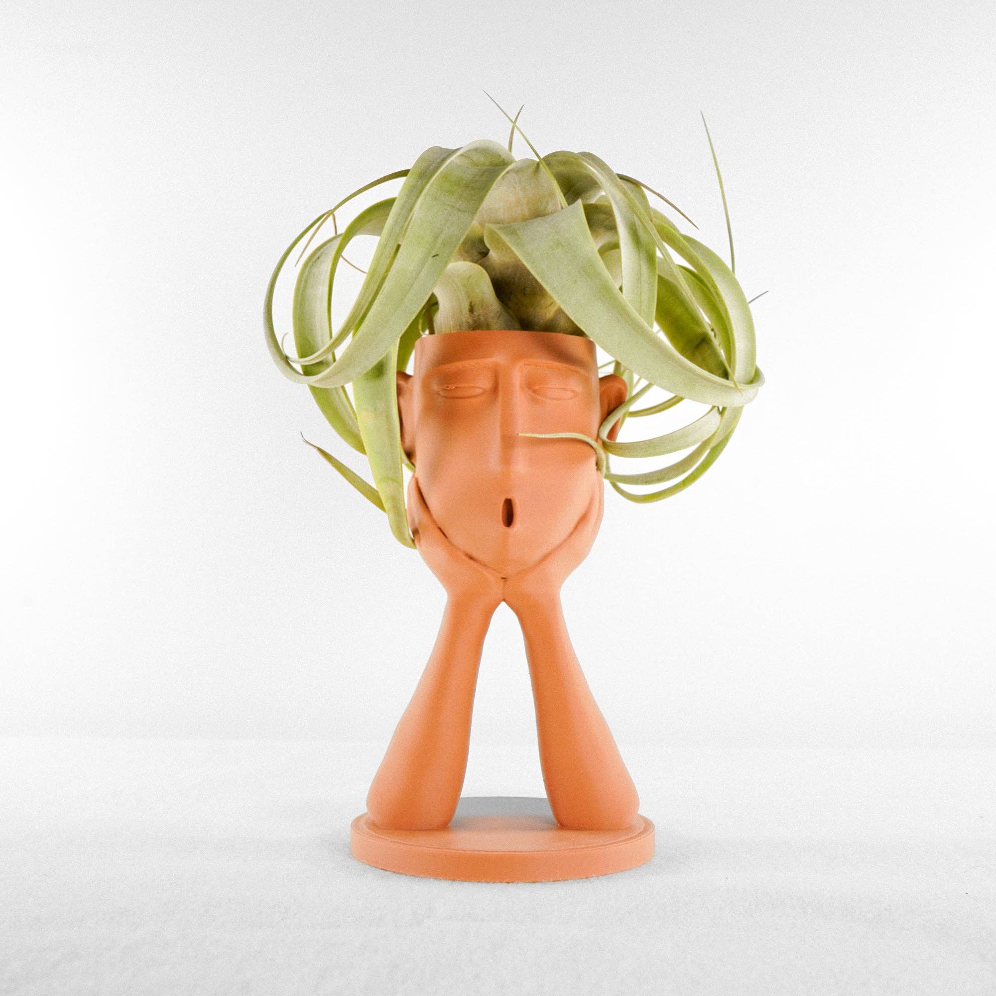 Rosebud Homegoods - Vente Pot - Support pour plantes gonflables Stonehenge, joli pot à tête, cadeau de décoration unique16