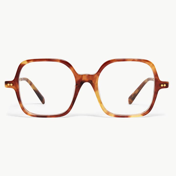 Cypress for wholesale by Ollie Quinn