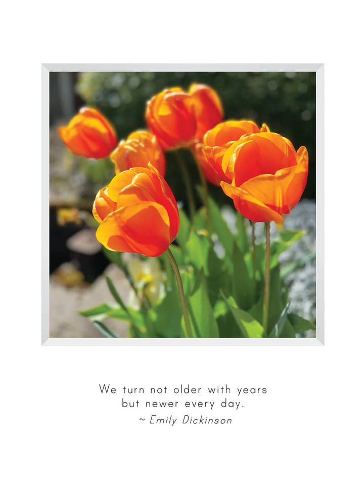 B719 - Glowing for wholesale by Stonehenge Designs