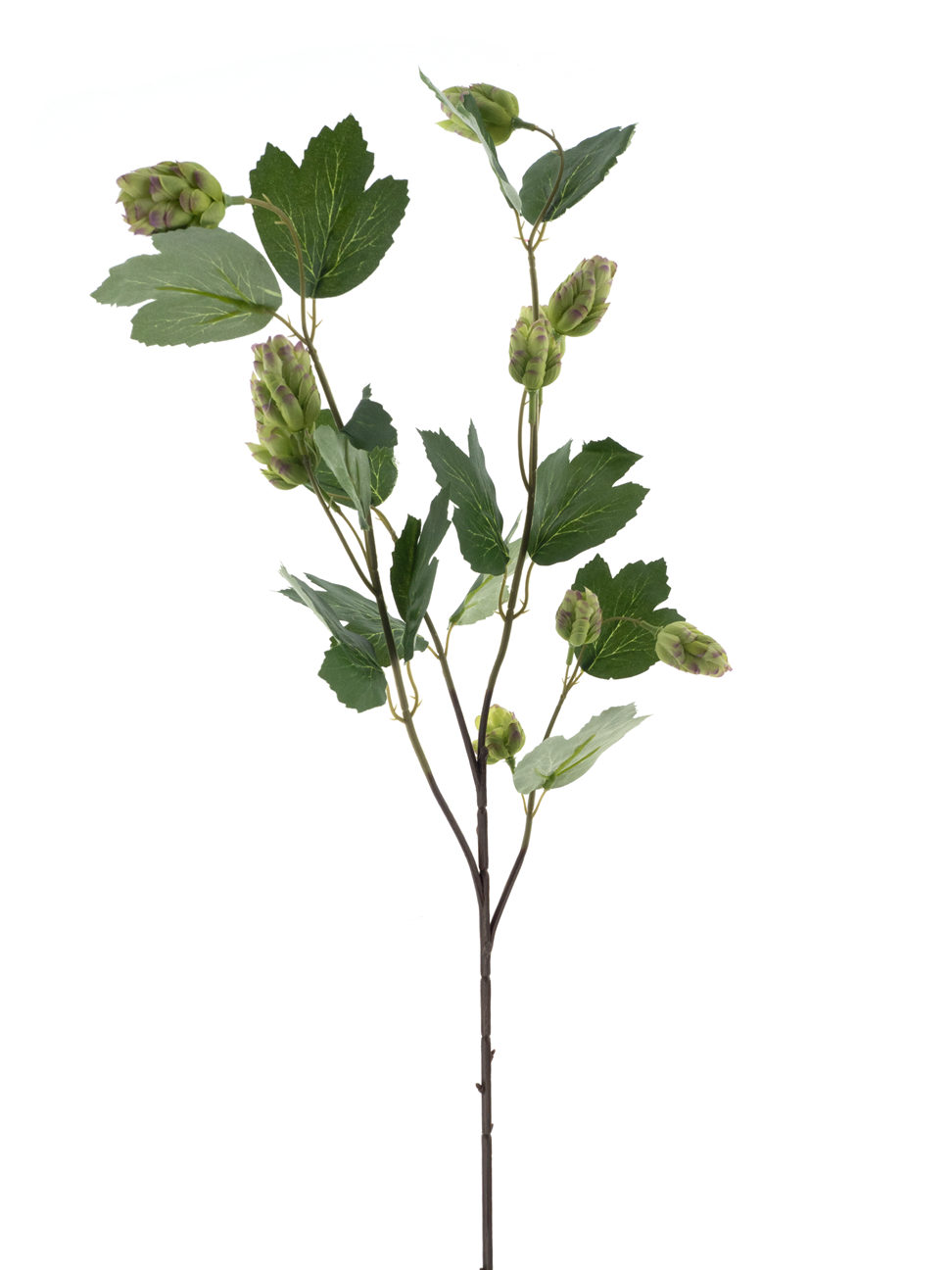 DRYdecorations - Wholesale Artificial Flowers - Hop spray La Choeffe green tak0