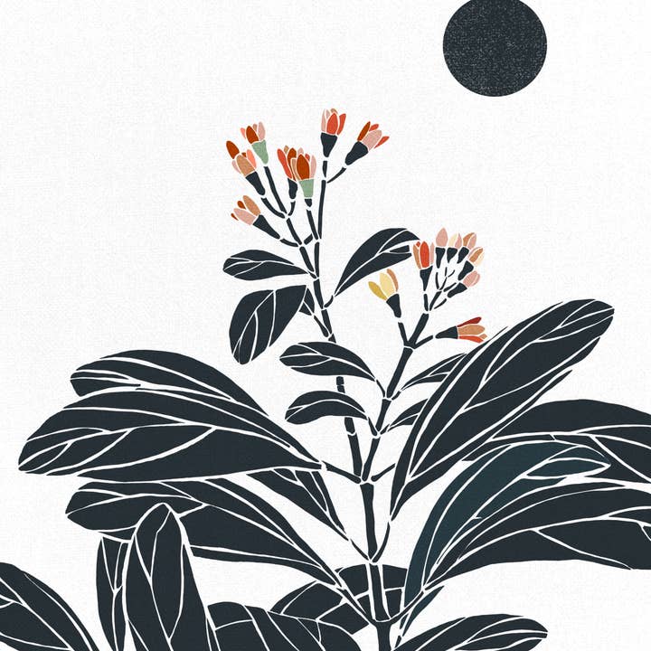 ʻIliahi (Night Mode) for wholesale by Prowlanu