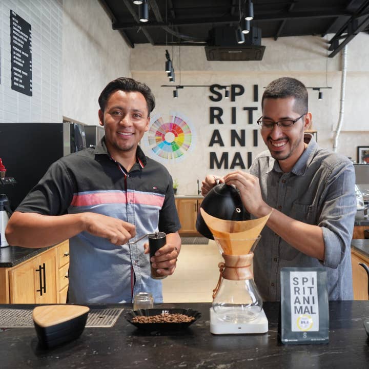 Spirit Animal Coffee – wholesale Coffee beans – Cup of Excellence Parainema Specialty Coffee