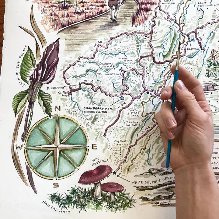 Rosalie Haizlett Illustration - Wholesale Map - Monongahela National Forest Map - Watercolor Art Print7