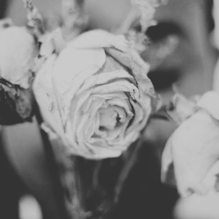 jeg fortjener voks smelter - 70 g for engroshandel hos je mérite, i deserve