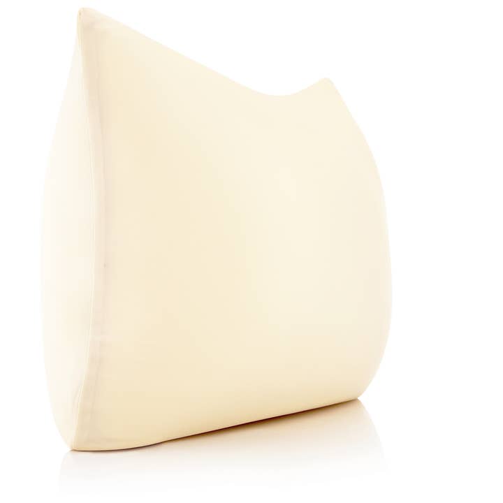 Husband Pillow - Wholesale Throw/Decorative Pillow - 360 - PilSpan-22X22-OffCream14