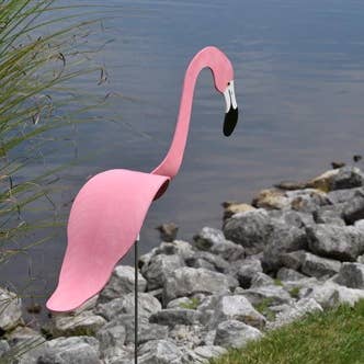 Pink Flamingo for wholesale by Florida Dancing Birds