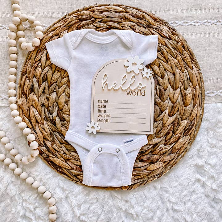 Claire and Bella - Wholesale Milestone Art/Keepsake - Kids & Baby - Wooden Monthly Milestone Set - Daisy3