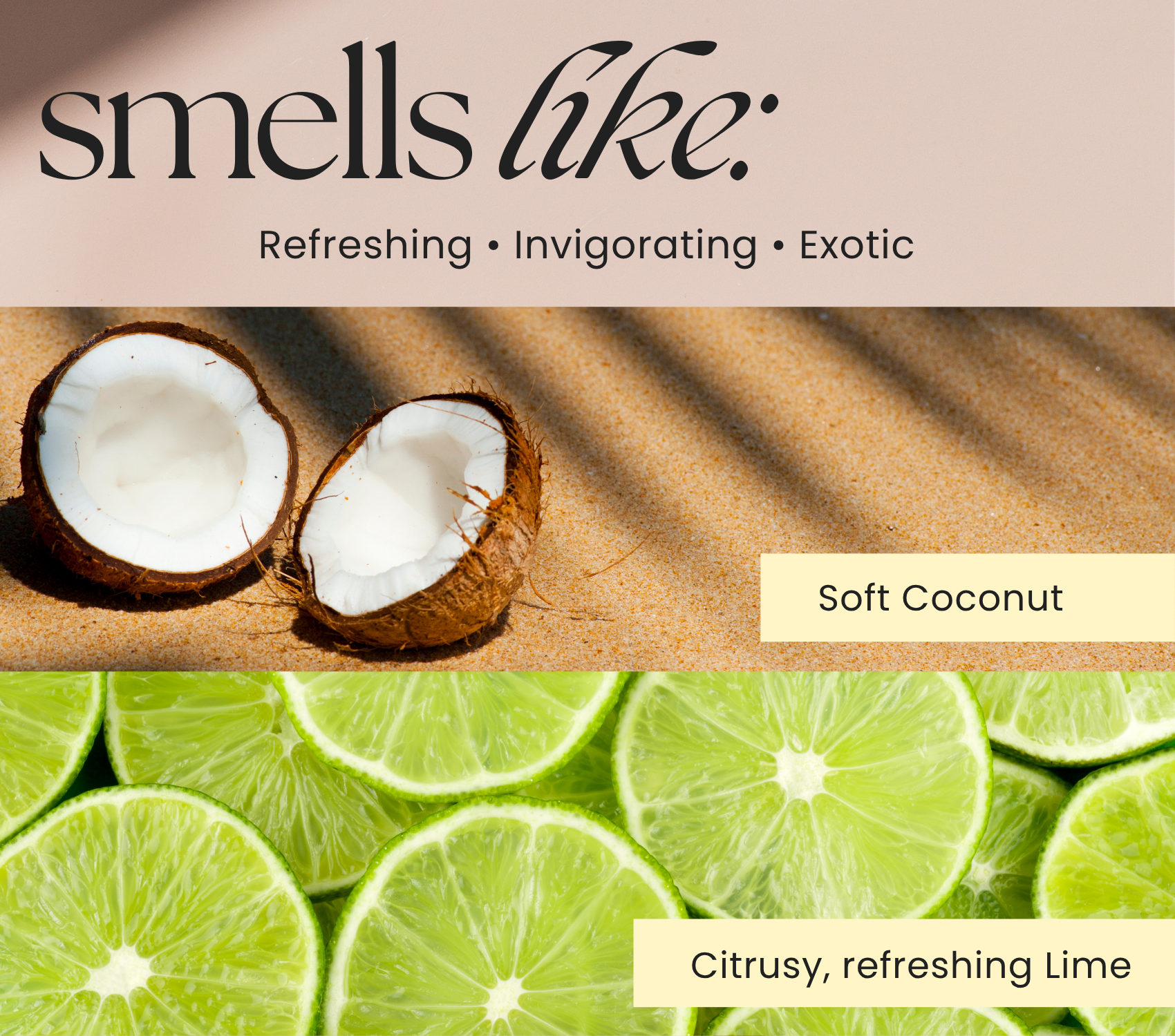 THE MINDFUL COLLECTIVE - Wholesale Jar/Filled Candle - Fire Element Crystal Candle – Aries, Leo & Sagittarius5