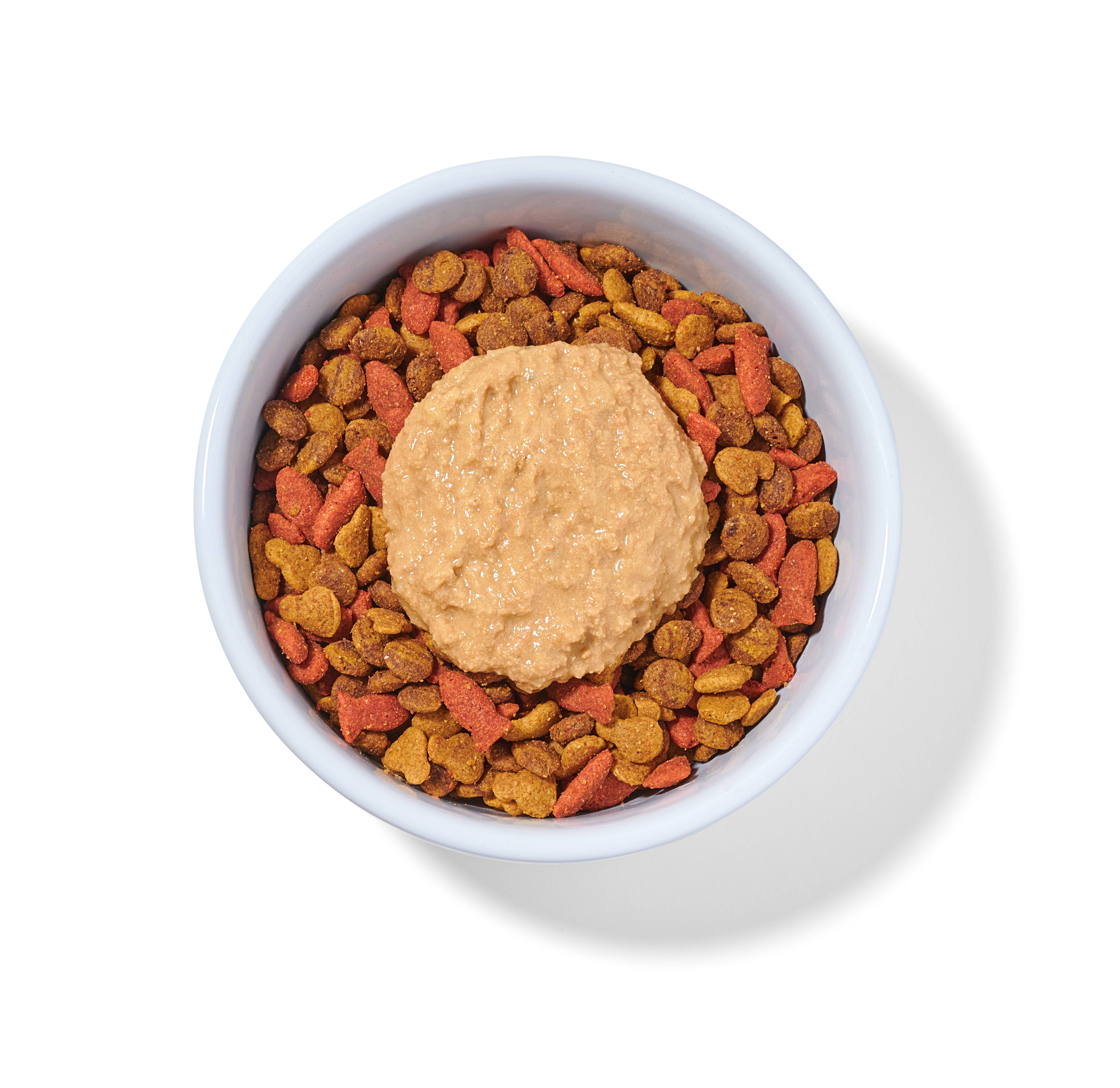 Portland Pet Food Company - Vente Nourriture – chat - Nourriture humide fraîche de qualité humaine au saumon et à la citrouille de Boots5
