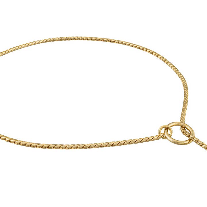 Alvalley – wholesale Halsband - Hund – Slip snake kedjehalsband för hund12