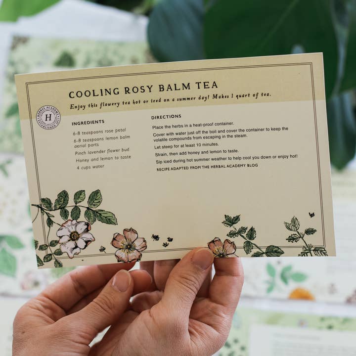 Herbal Academy - Wholesale Recipe Card - Herbal Recipe Cards - Set of 25