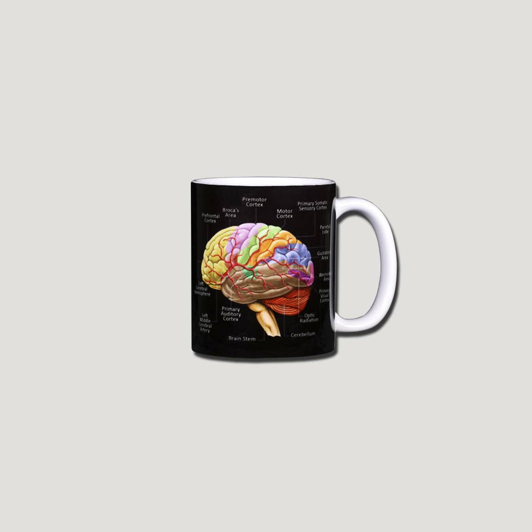 Atlas Screen Printing - Wholesale Coffee Mug - Brain Ceramic 11 oz Ceramic Mug1