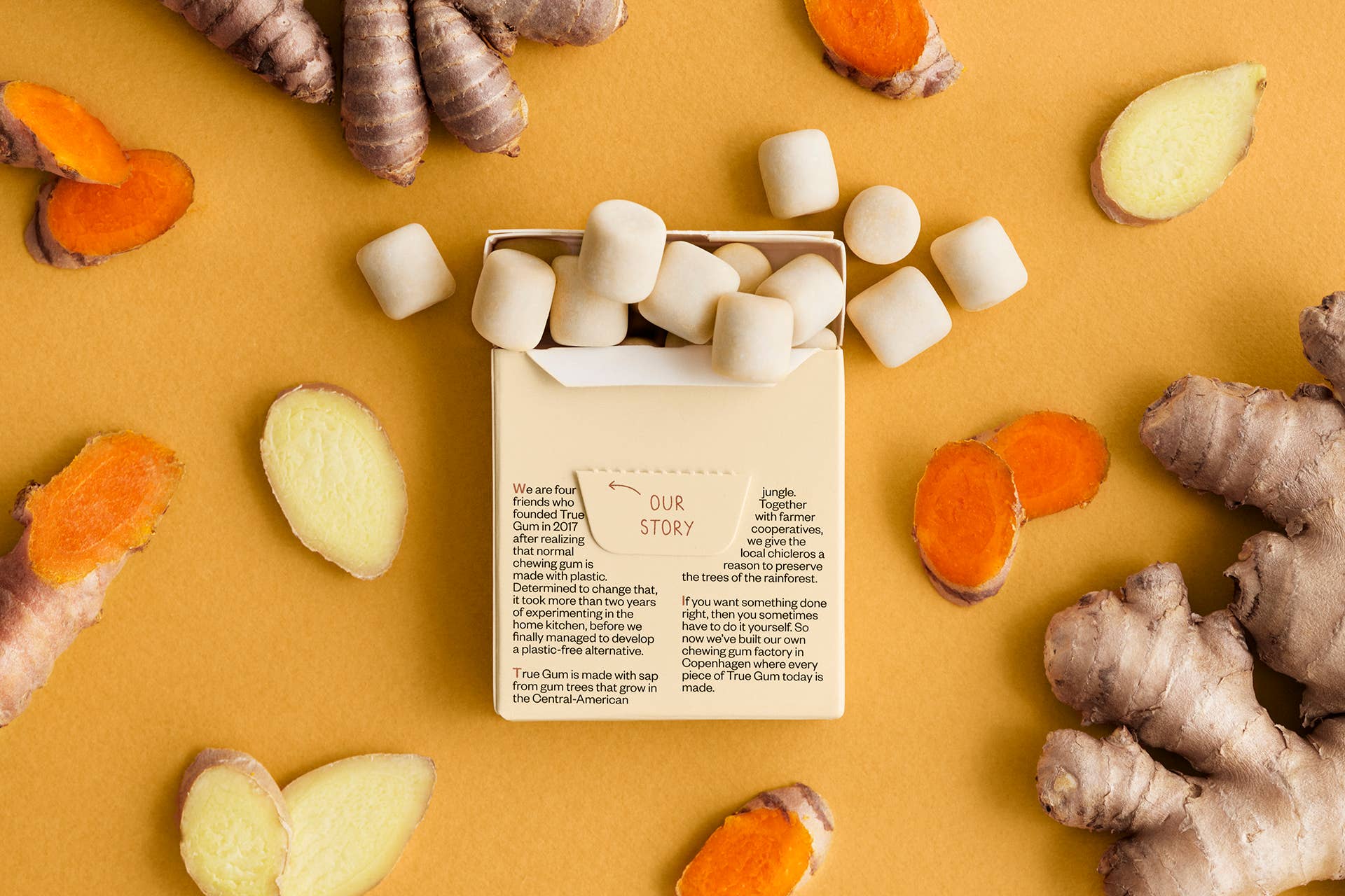 Gourmandise - Wholesale Chewing Gum - Plastic-free gum Ginger & Turmeric flavour TRUE GUM1