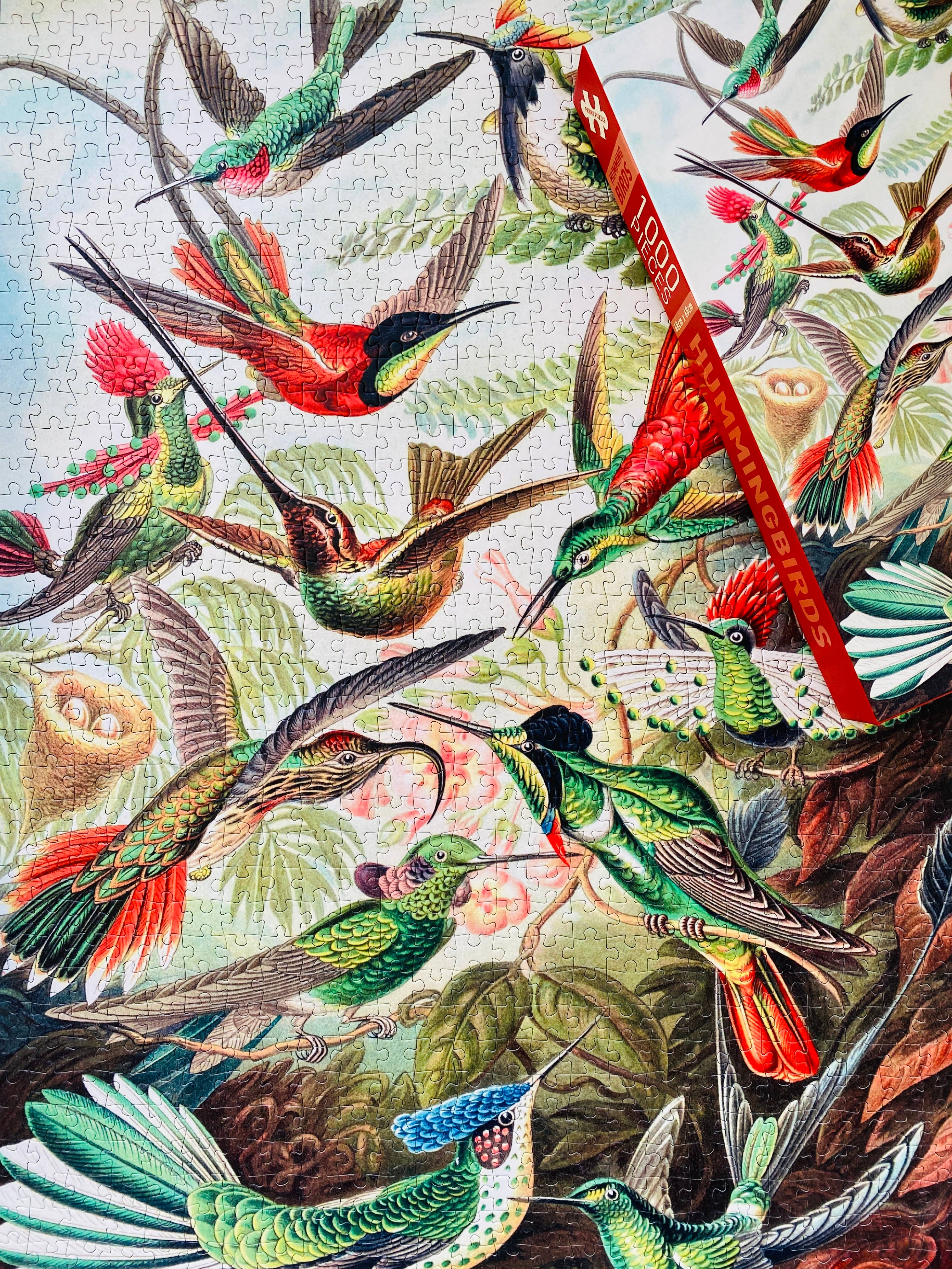 Penny Puzzle - Wholesale Puzzle - Adult - Hummingbirds 1000 piece Vintage jigsaw puzzle7
