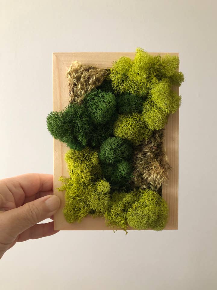 Arte Moderno de Pared de Musgo - Rectángulo para venta al por mayor de Stacy Wong