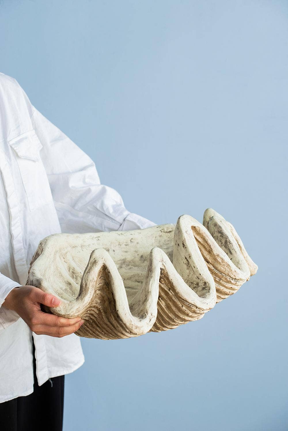 A&B Home Group Inc. - Wholesale Decorative Tabletop Object - Medium Clam Shell Accent10