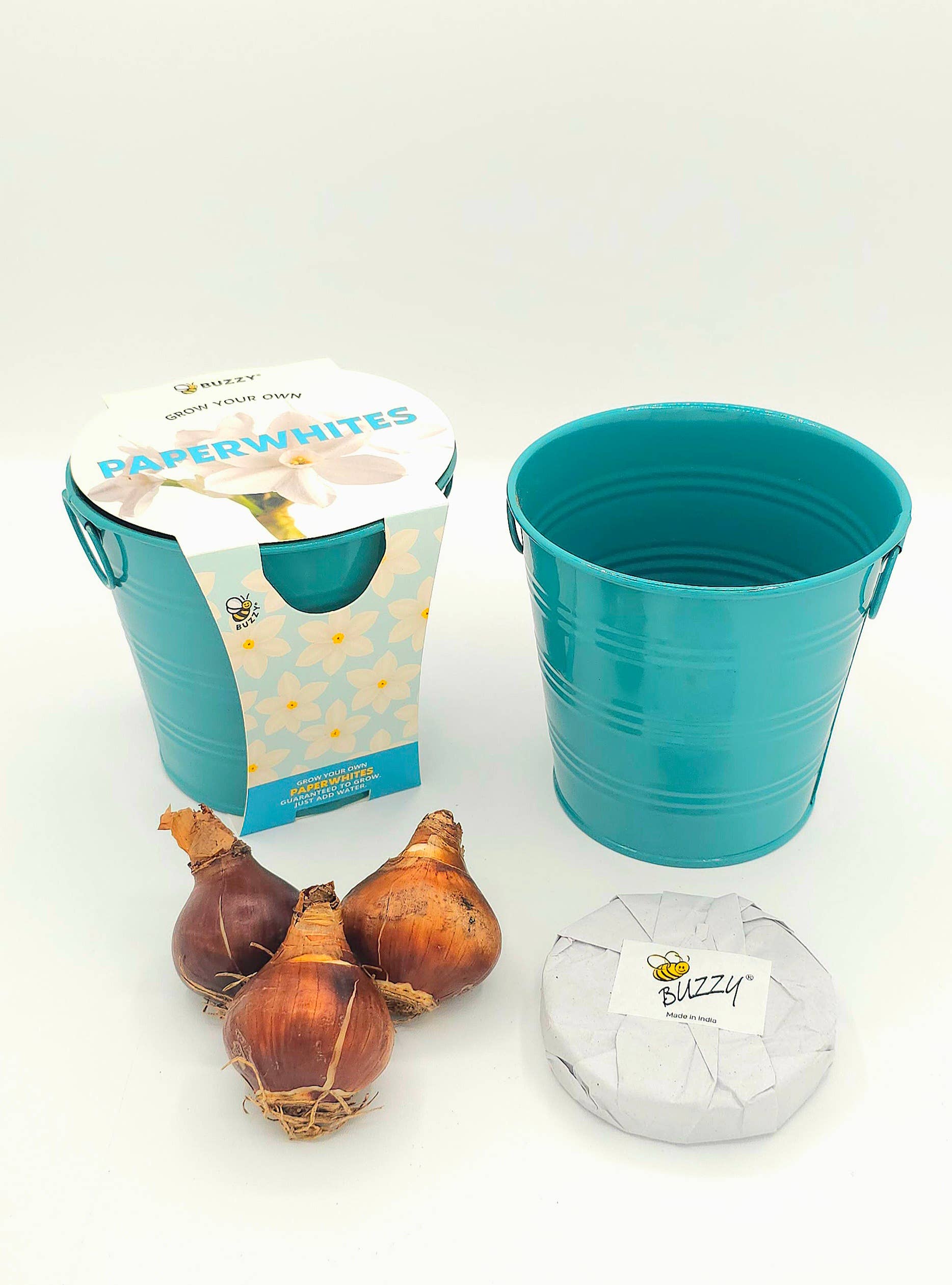 Buzzy Seeds Grow Gifts - Vente Graines de plantes - Seau de Croissance de Narcisses de Noël – Kit Cadeau de Fleurs d'Hiver2