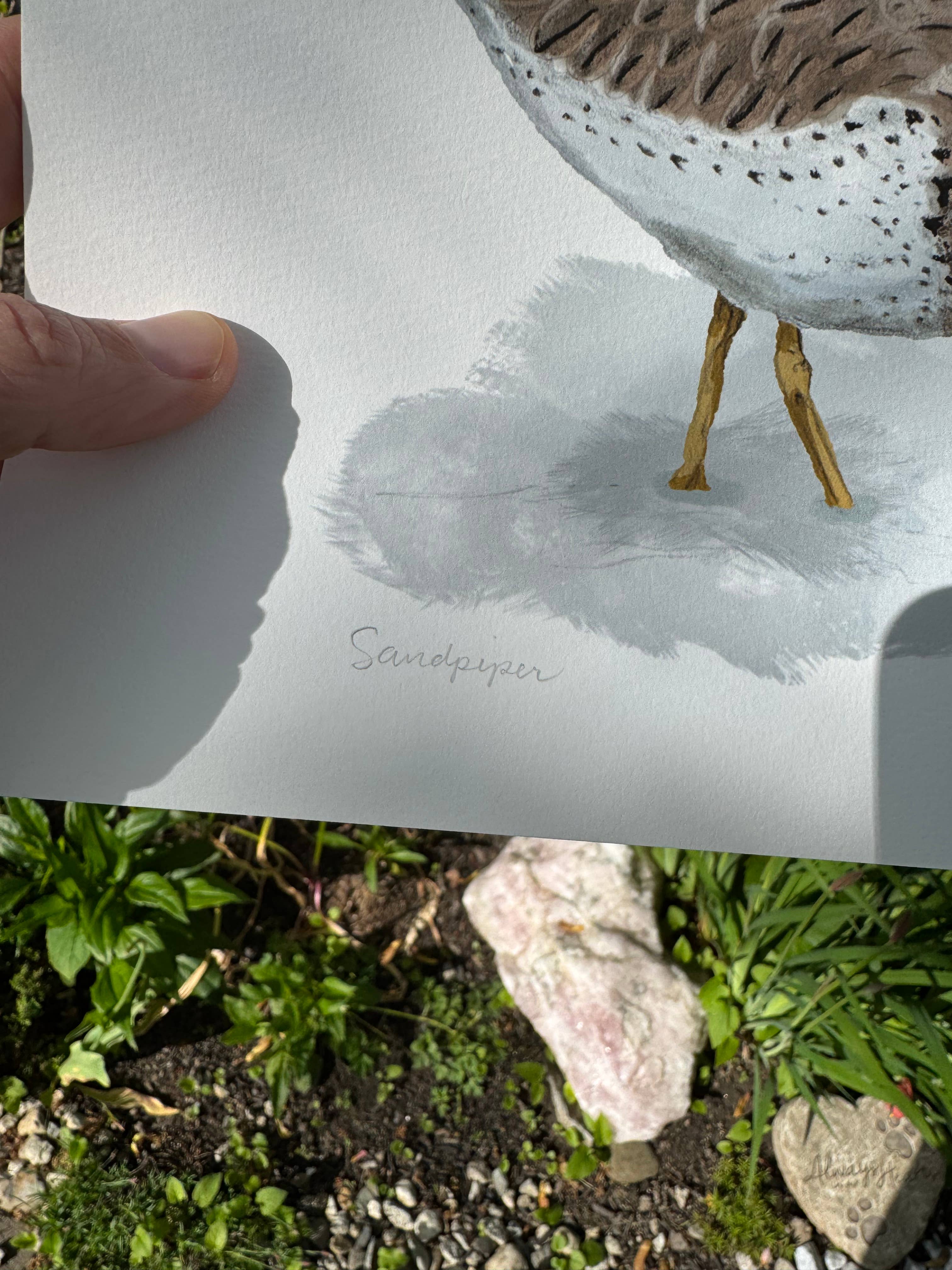 Portland Design Co - Wholesale Art Print - Sand Piper Signed Print1