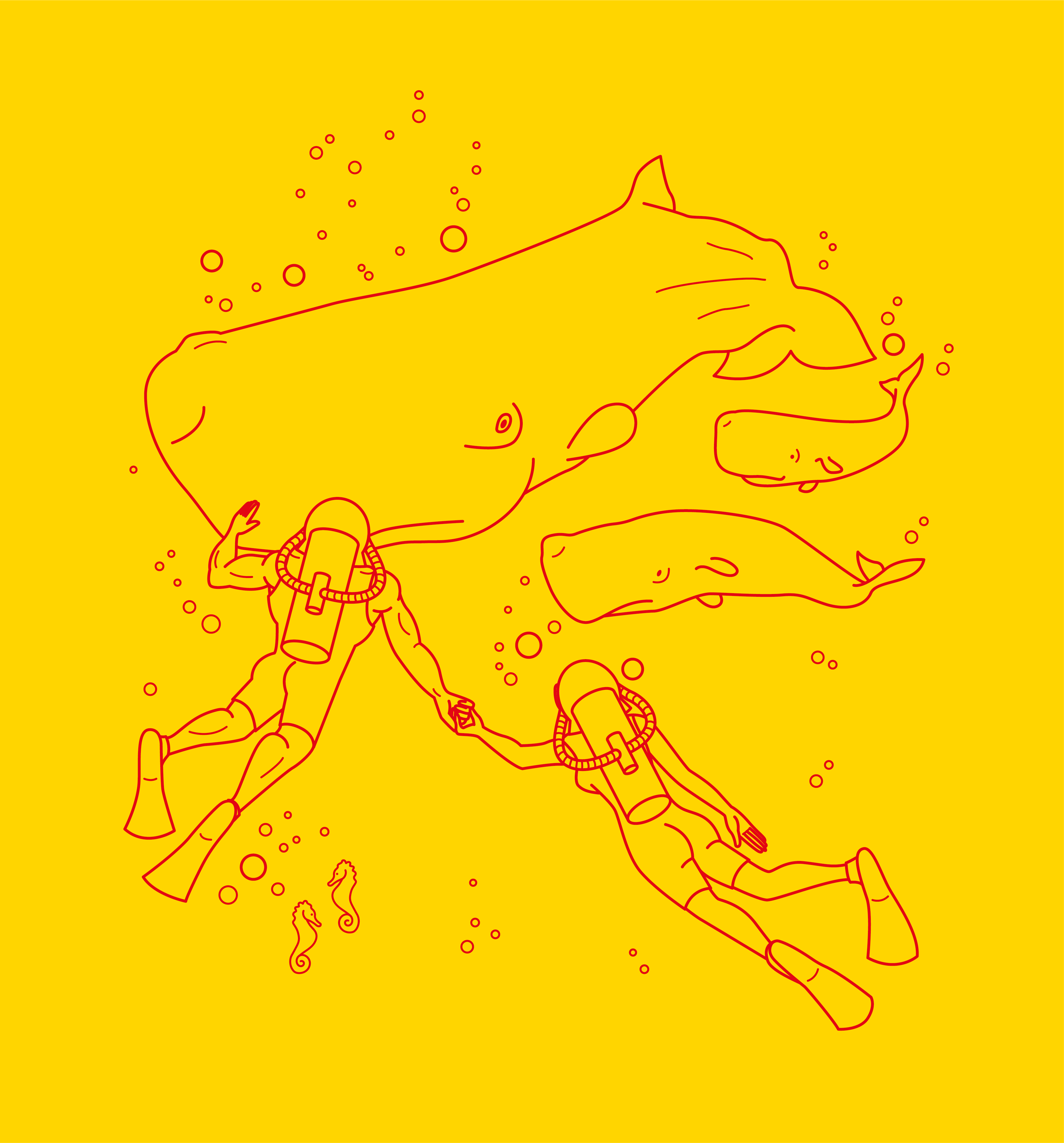 Mañana Hot Sauce - Wholesale Hot Sauce - Mañana Hot Sauce - 24 BOTTLES4