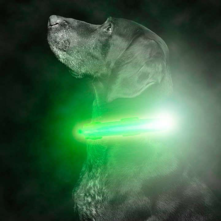 Mighty Paw - Venta al por mayor Collar - Perros - Collar de perro LED