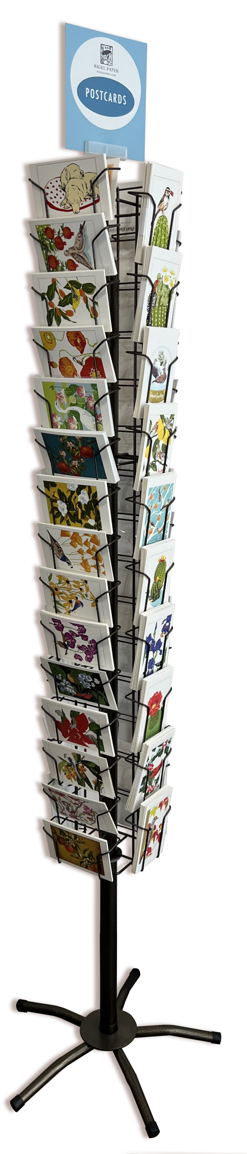 Rigel Paper - Vente Autocollant - Autocollant Oiseau Chardonneret RBI-2175