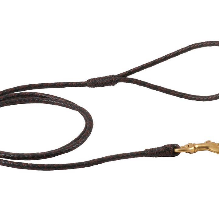 Alvalley - Wholesale Pet Leash - Dog - Braided Leather Snap Leads54