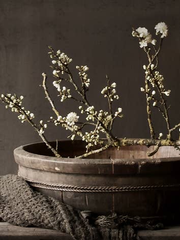 Stampa da giardino B09: cassa di legno Fiori di ciliegio per la vendita all'ingrosso da parte di Nino-Art