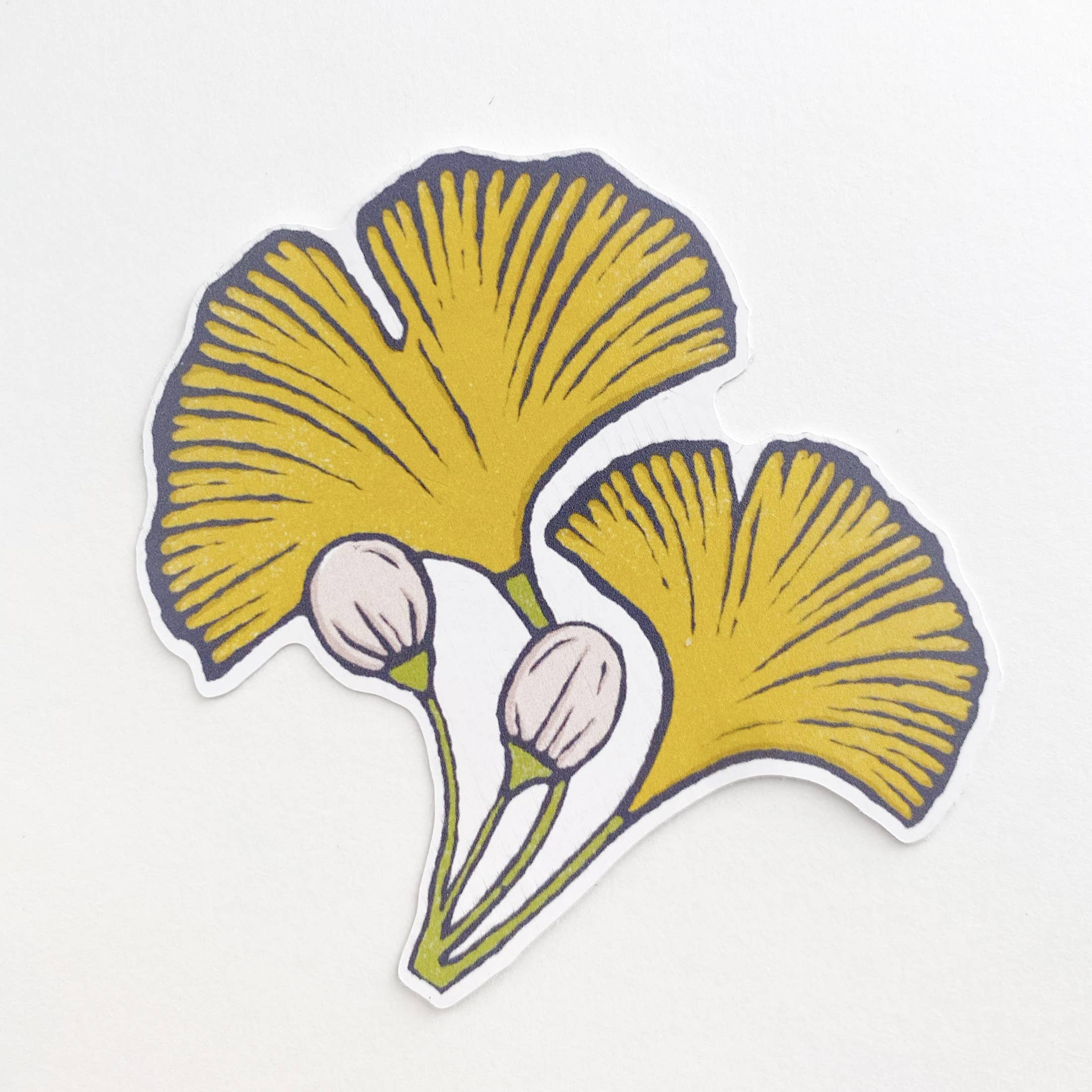 Root & Branch Paper Co. - Wholesale Sticker - Ginkgo Leaf Sticker0