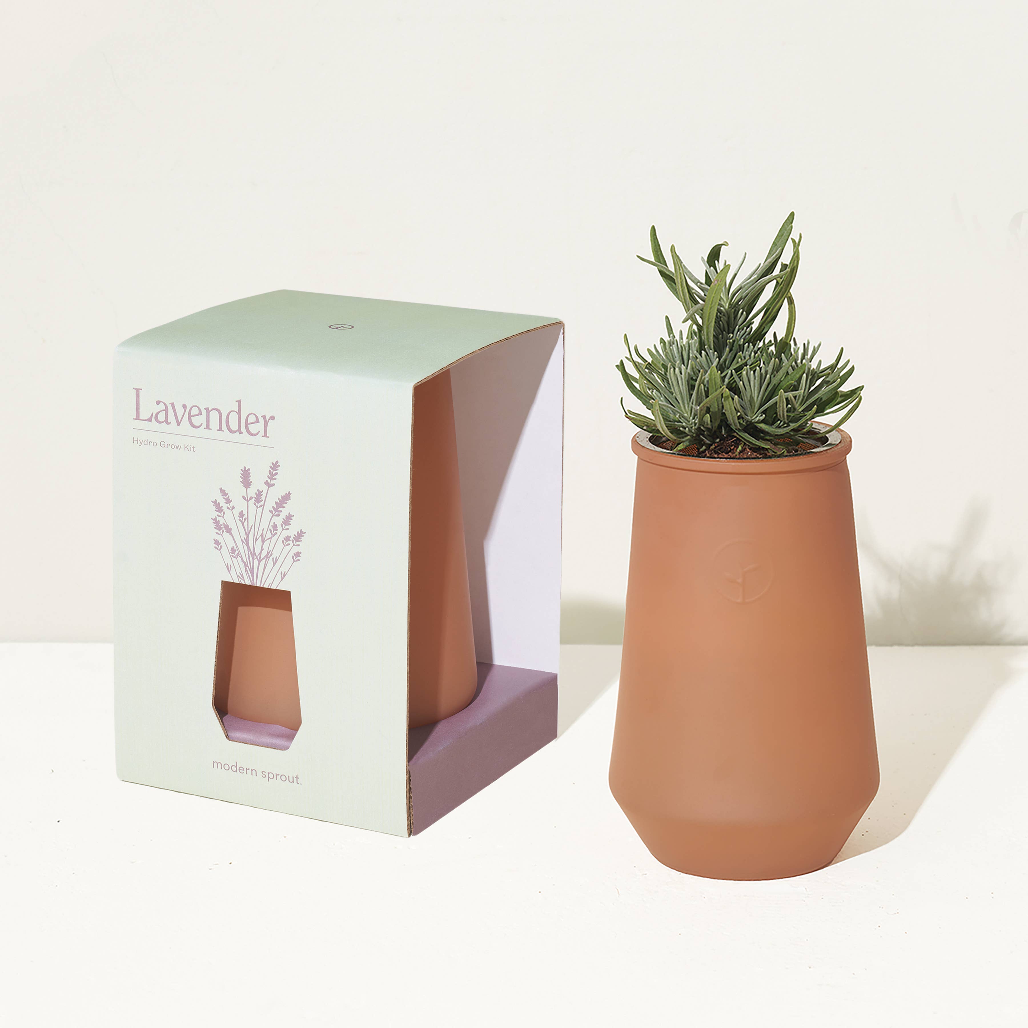 Modern Sprout - Wholesale Plant Pot - Tapered Tumbler8