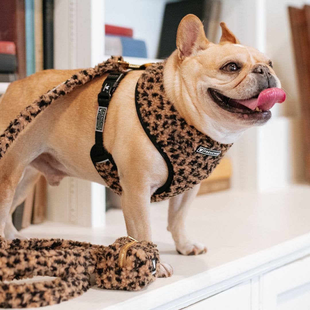 Frenchie – Arnês – Cão por atacado – Arnês Reversível Frenchie Duo - Teddy Leopard12