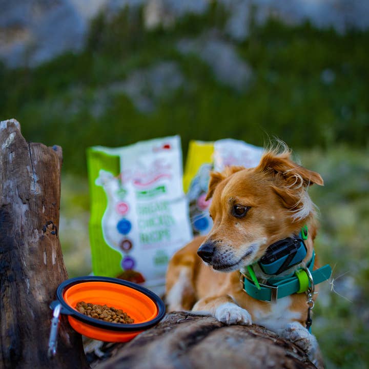 Tender & True Pet Nutrition - Wholesale Pet Food - Dog - Organic Small Breed Turkey & Oats Recipe Dry Dog Food, 4lb.