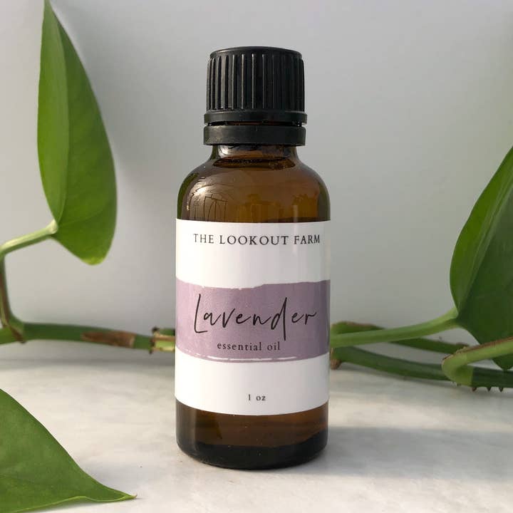 Lavender Essential Oil for wholesale by The Lookout Farm