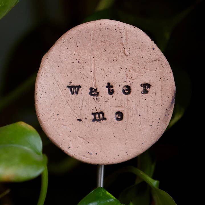 Plant Buddies - Texte - Water Me pour la vente par Mud & Maker