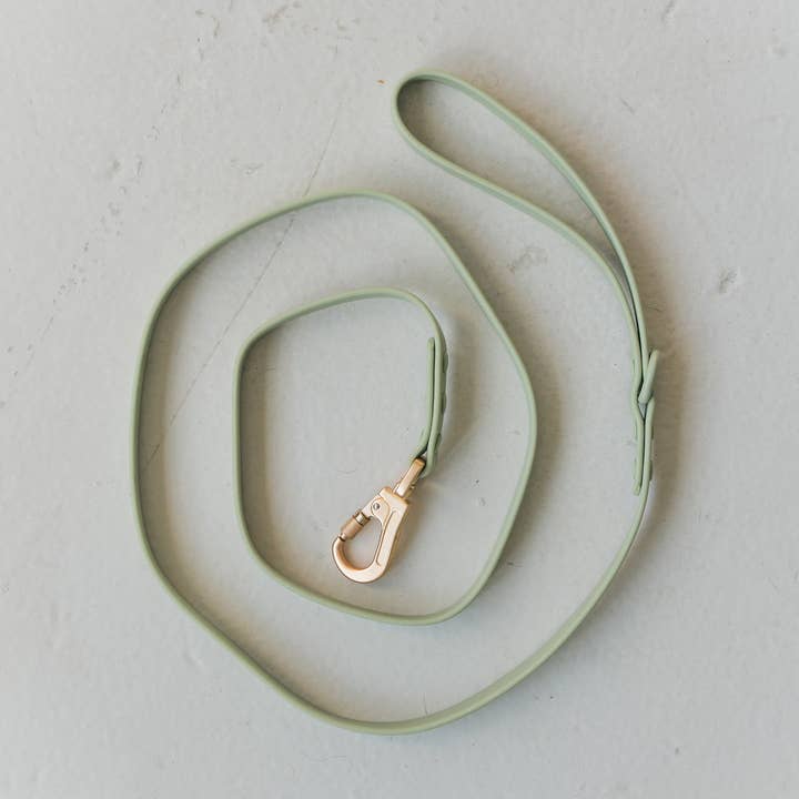 dexypaws - Wholesale Pet leash – Dog - Waterproof Dog Leash in Sage Green0