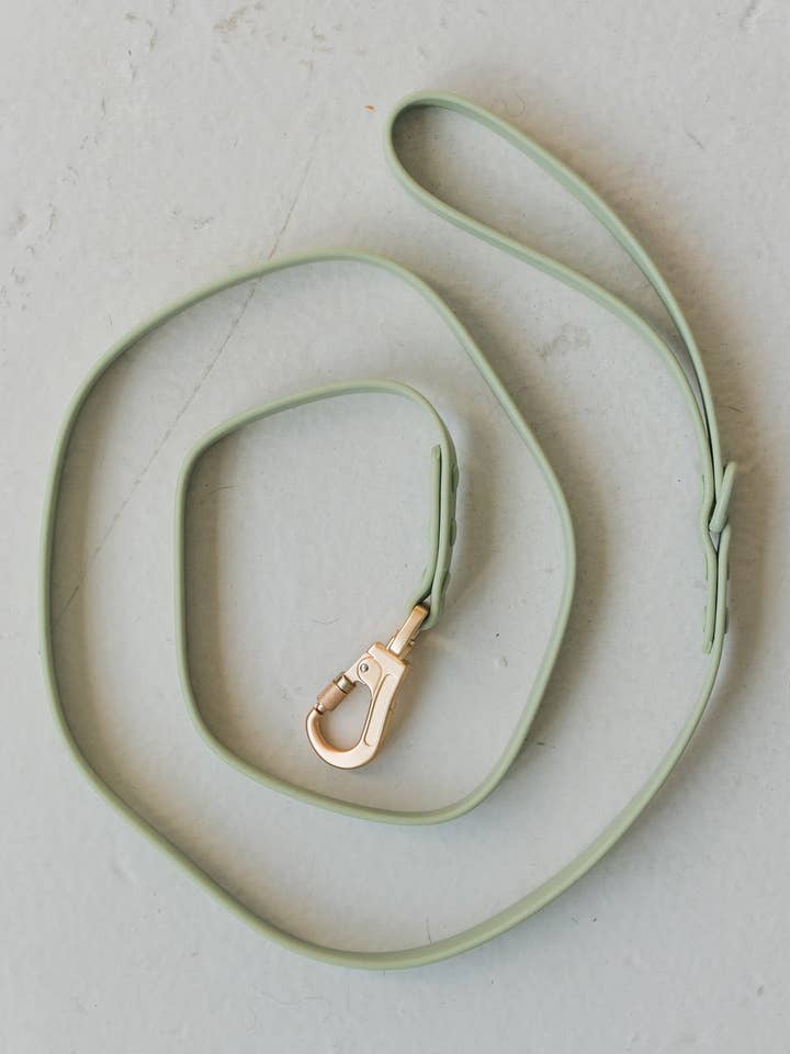 Waterproof Dog Leash in Sage Green for wholesale by dexypaws