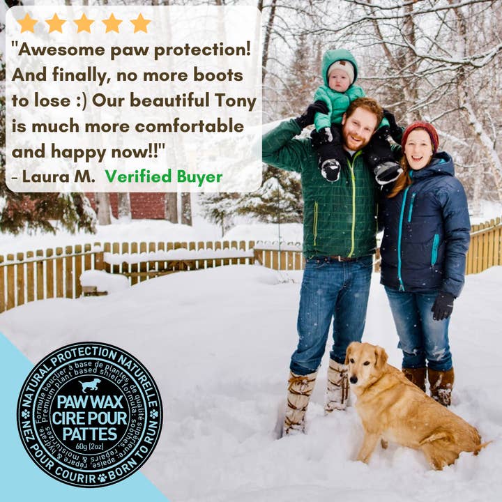 BORN TO RUN DOGS - Wholesale Pet Paw Protection - Healing PAW Balm Protection for Cold Heat Harsh Surfaces 60g8