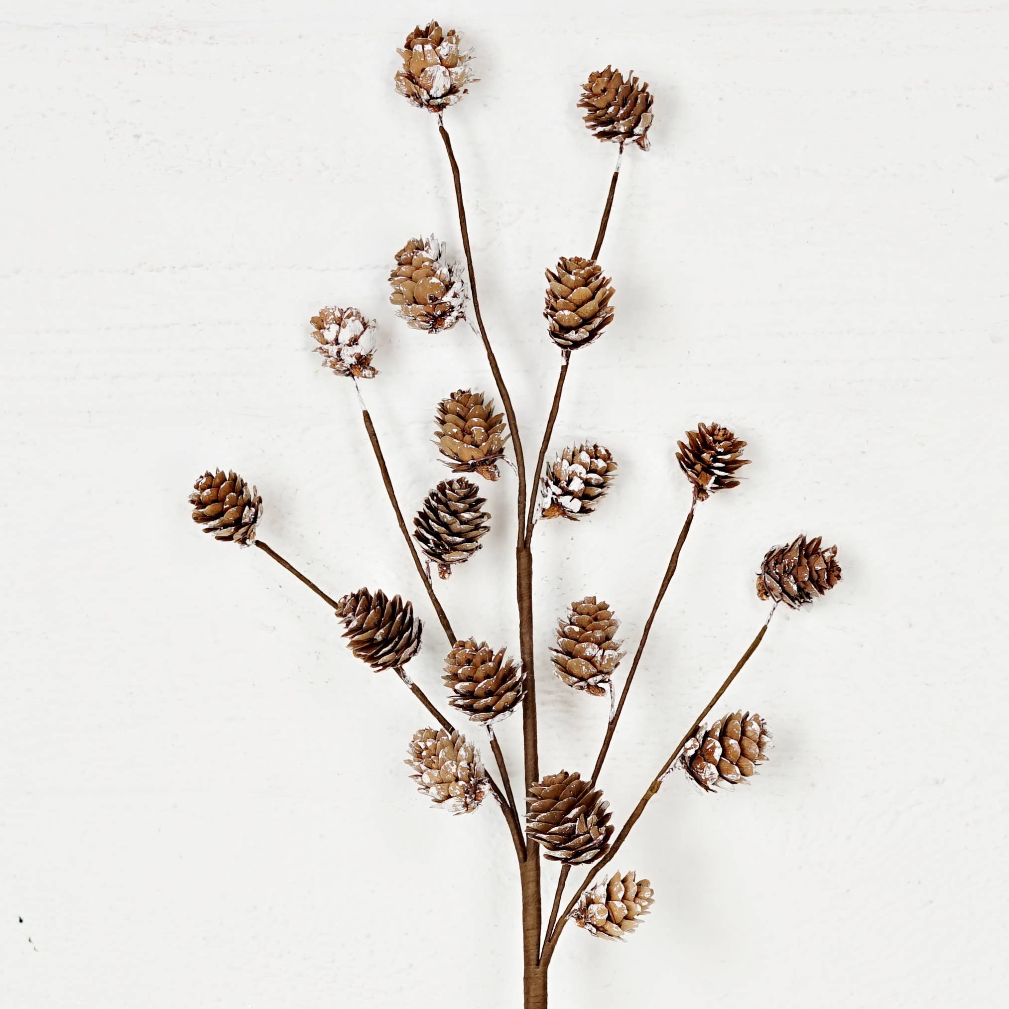Holiday Depot Inc. - Wholesale Christmas Decoration - 510825- 24in Spray-Snowy Natural Birchcones-1