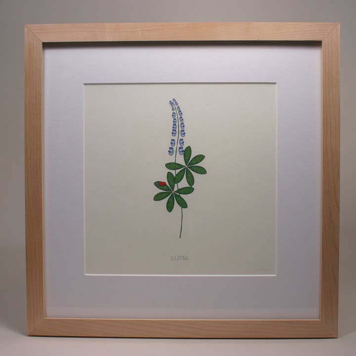 Beth Mueller - Wholesale Art Print - Lupine Print.