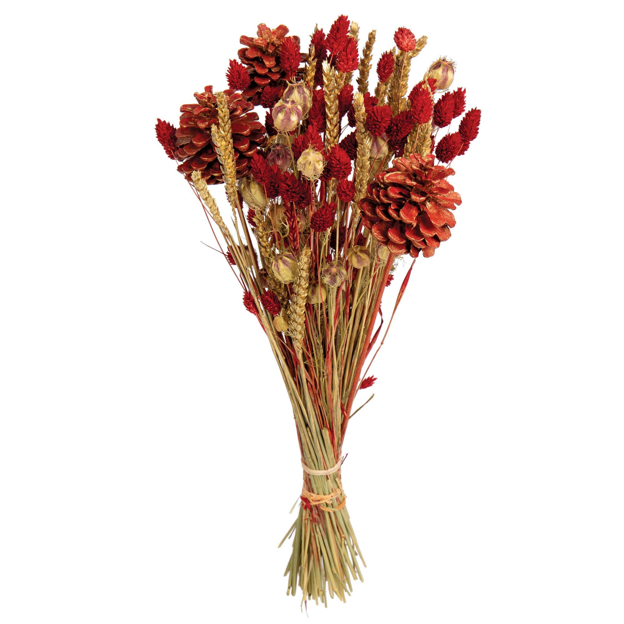 Willow Group - Wholesale Dried/Pressed Flowers - Holiday Bouquet Loose #24-12