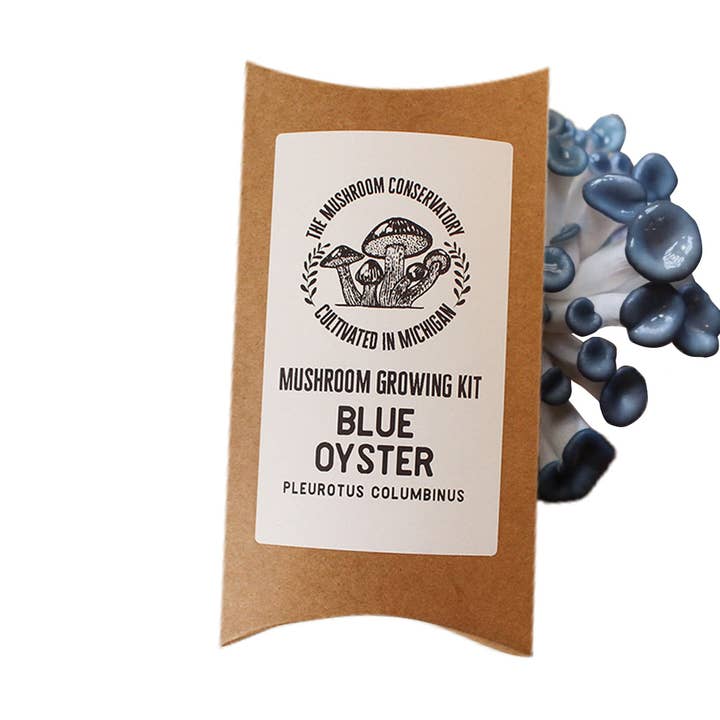 Kit de culture de pleurotes bleues pour la vente par The Mushroom Conservatory LLC