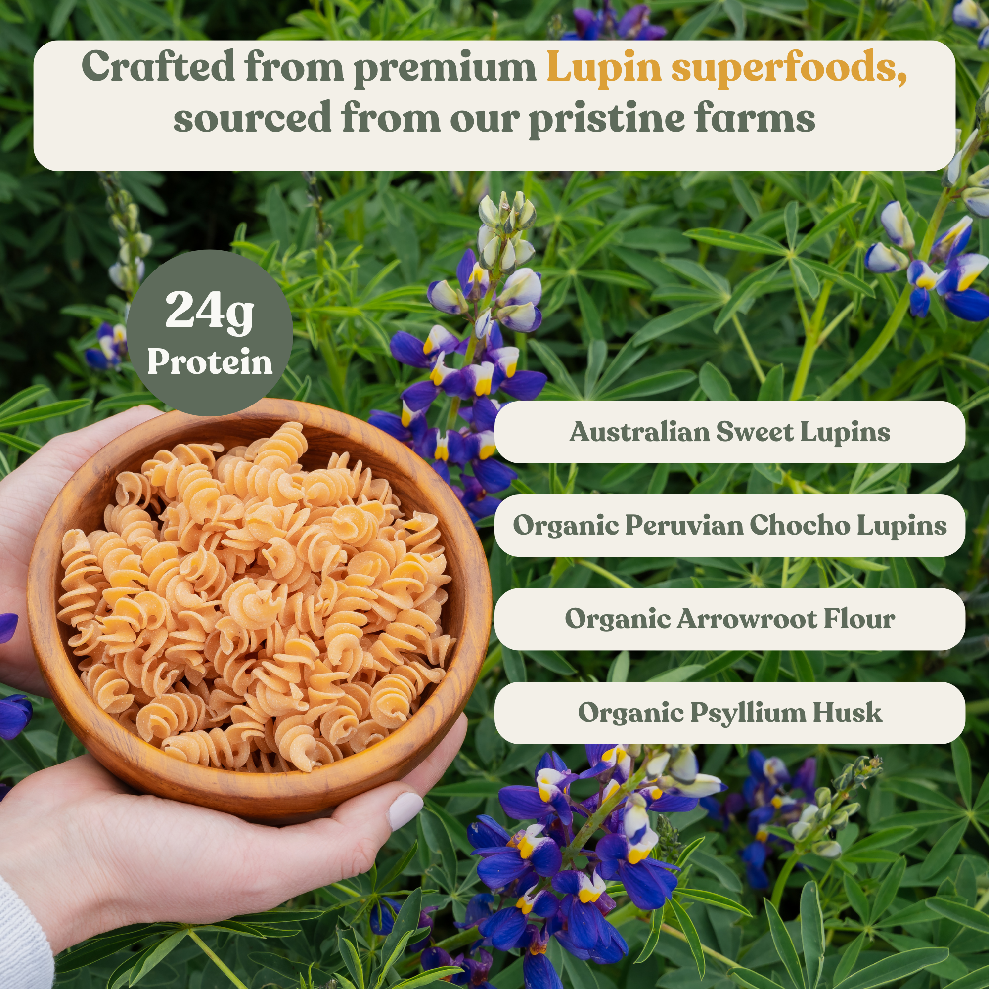 Chef's Kiss - Vente Pâtes - Rotini Protéiné de Lupin - Boîte en Vrac de 5 lb7