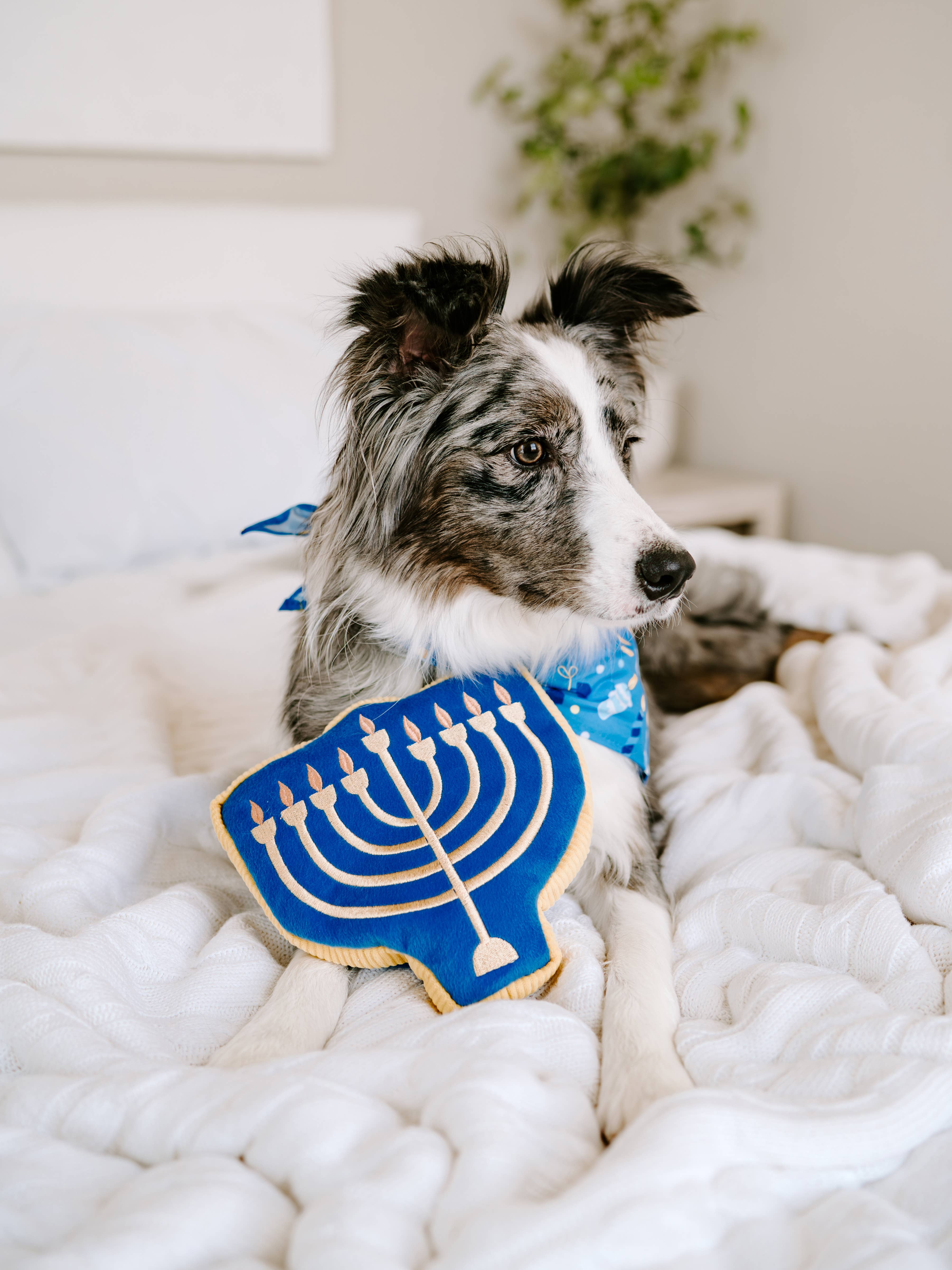 ZippyPaws - Wholesale Pet Plush Toy - Dog - Hanukkah Squeakie Pattiez - Menorah - Holiday Dog Toy3