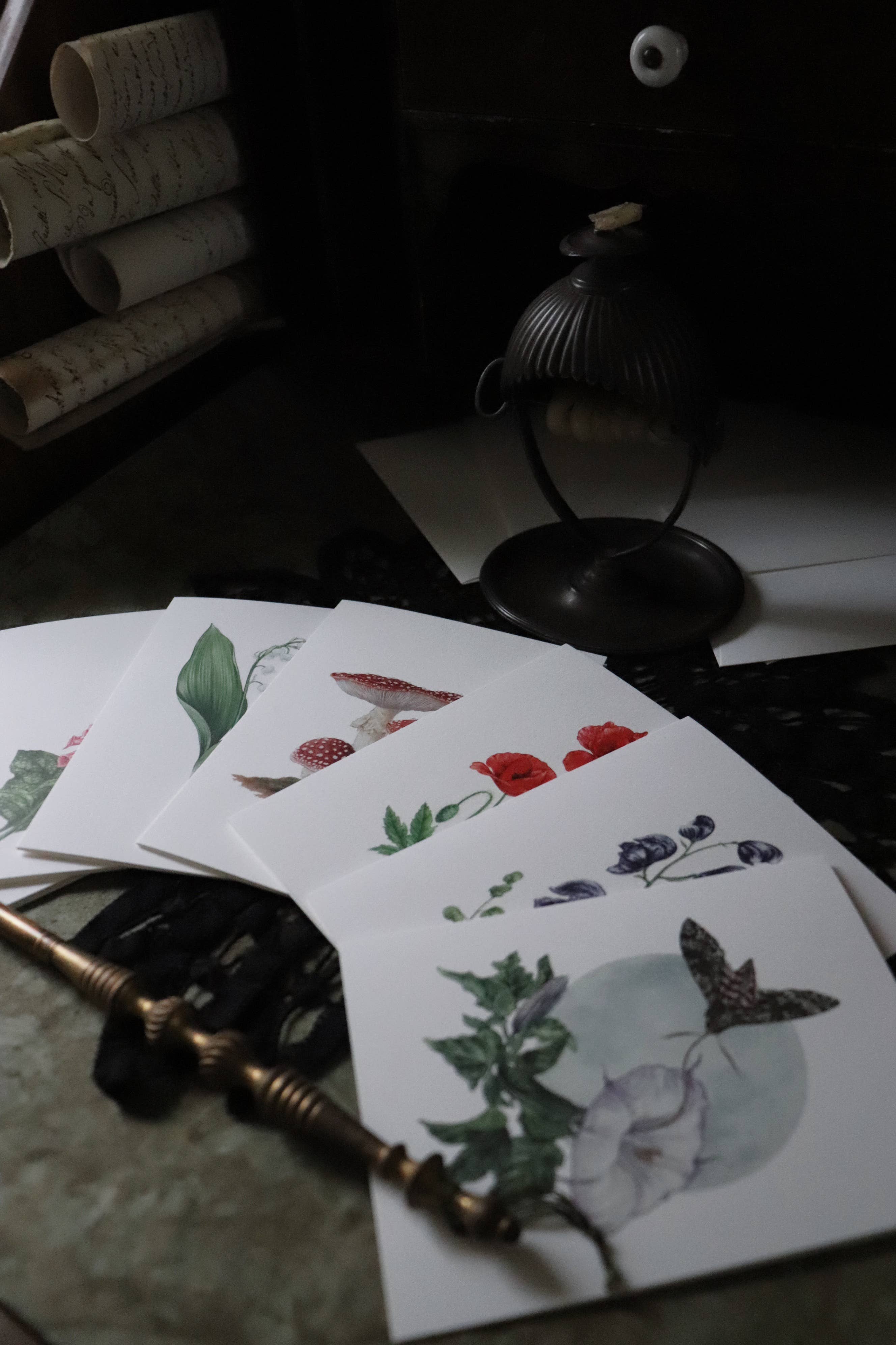 Open Sea - Wholesale Everyday Greeting Card - Deadly Nightshade Poison Greeting Card2