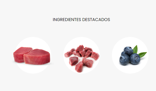 DIBAQ - Wholesale Pet Food - Cat - Dibaq Sense Cat Grain Free Tuna with Wild Boar1